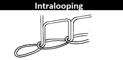 Intra-looping
