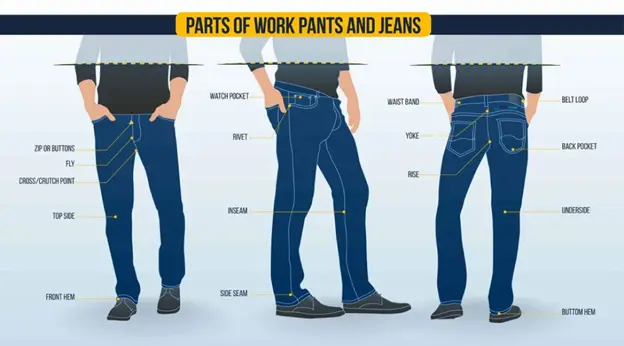 Different Parts of a Jeans Pant