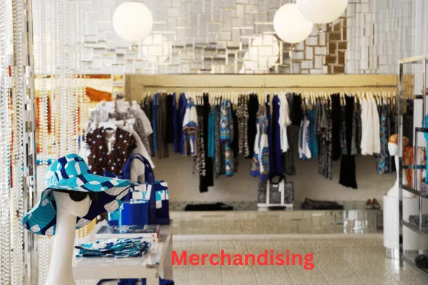 Merchandising Structure, Duties, and Responsibilities in the Garments Industry